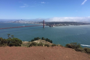 SF: Muir Woods, Sausalito, Golden Gate Bridge – private Tour