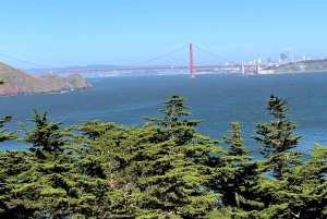 SF: Muir Woods, Sausalito, Golden Gate Bridge – private Tour