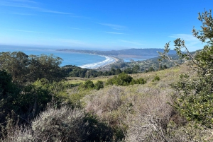 SF: Muir Woods, Sausalito, Golden Gate Bridge – private Tour
