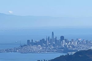 SF: Muir Woods, Sausalito, Golden Gate Bridge – private Tour