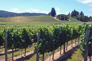 SF : Napa & Sonoma Wine Tour & Hop-on Hop-off Tour (Save 15%)