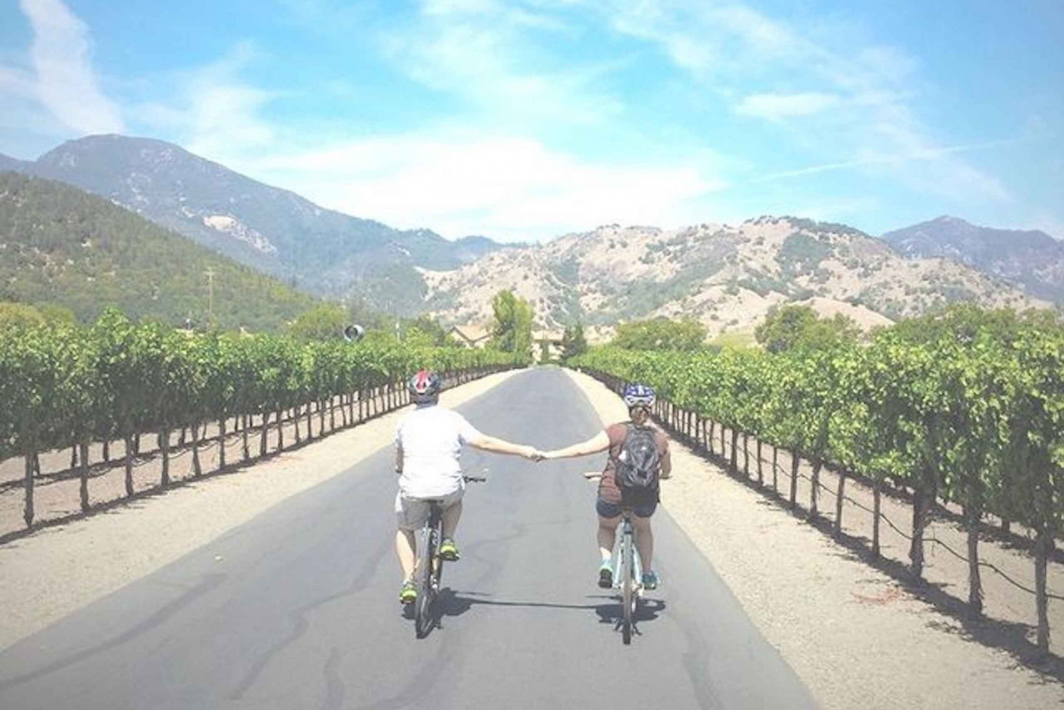 Sonoma County: Wine Tasting and Biking in Healdsburg