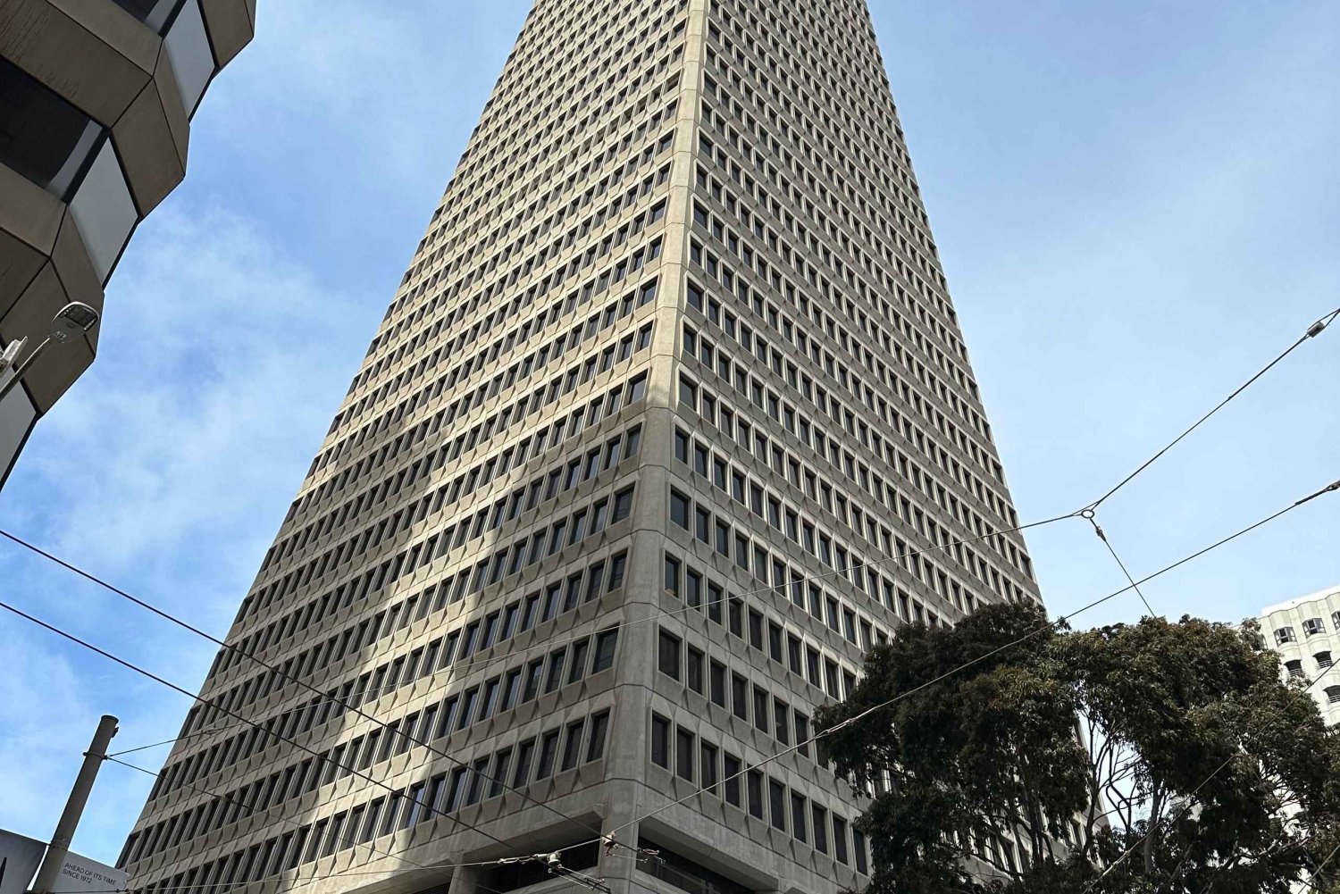 Tastes of Chinatown, North Beach, and Fisherman’s Wharf