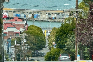 Prywatna wycieczka po San Francisco nowym vanem EV Volkswagen