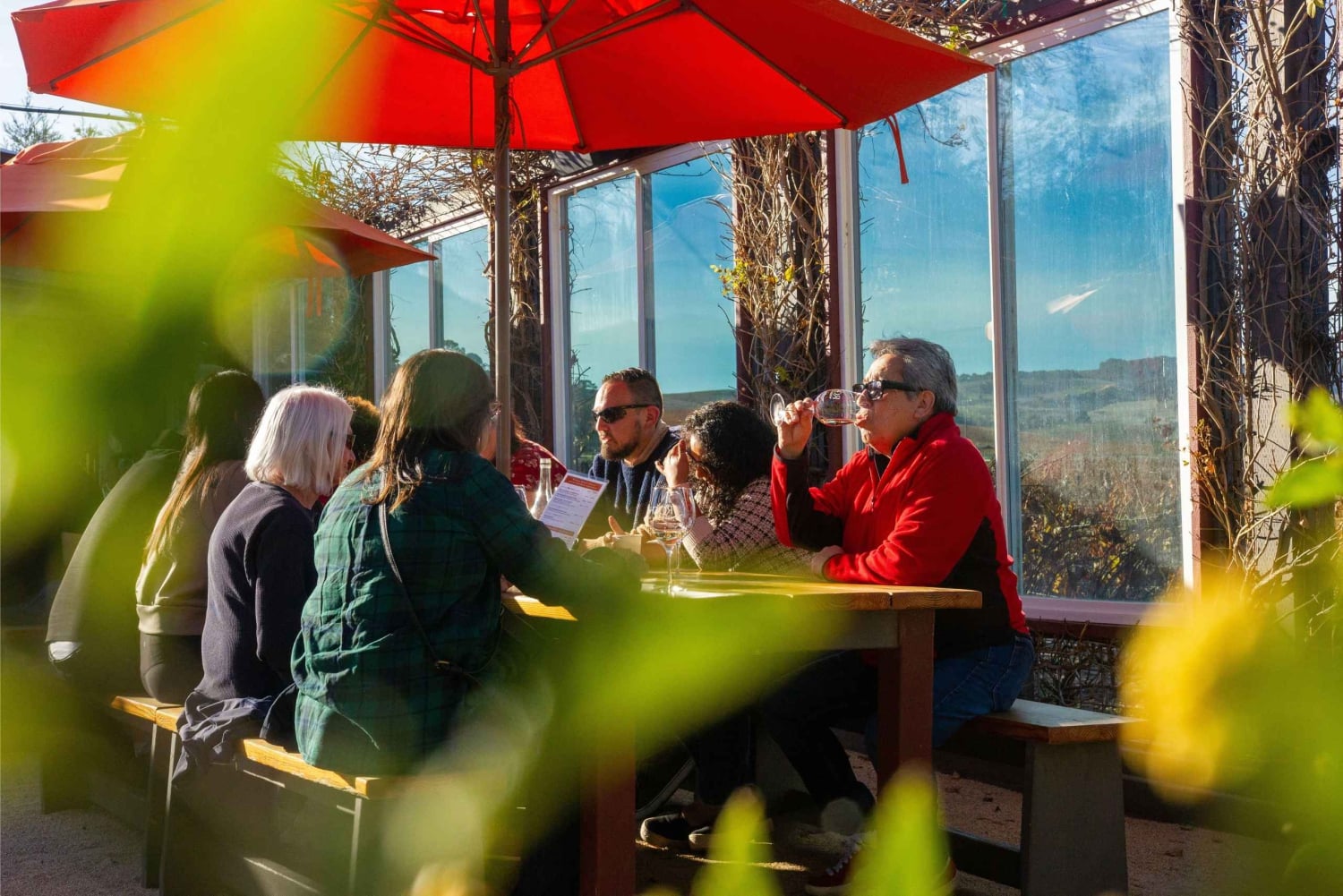 Die ultimative Napa & Sonoma Wein Tour