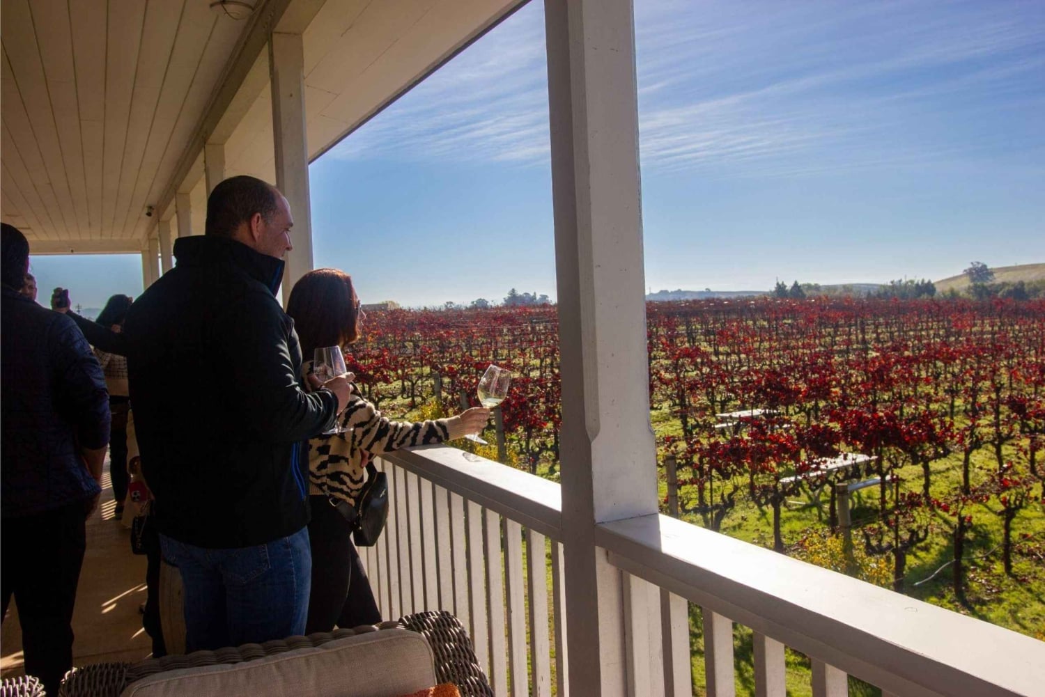 Die ultimative Napa & Sonoma Wein Tour