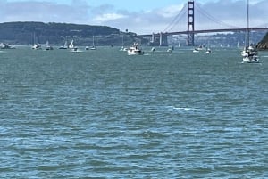 Tiburon: tour guidato a piedi - Dalla ferrovia ad oggi