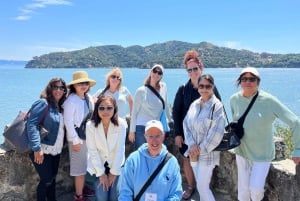 Tiburon: tour guidato a piedi - Dalla ferrovia ad oggi