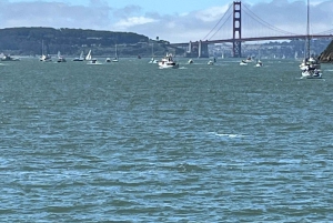 ティブロン：ガイド付きウォーキングツアー - 鉄道から現代まで