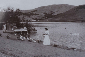 ティブロン：ガイド付きウォーキングツアー - 鉄道から現代まで