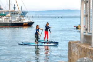 Tour the San Francisco Bay by Kayak or Paddle Board!