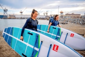 Tour the San Francisco Bay by Kayak or Paddle Board!