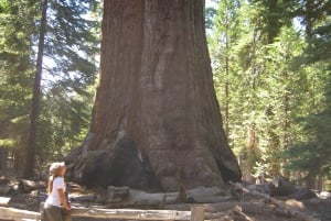 ラスベガス：アメリカ南西部国立公園を巡るSFへの11日間の旅