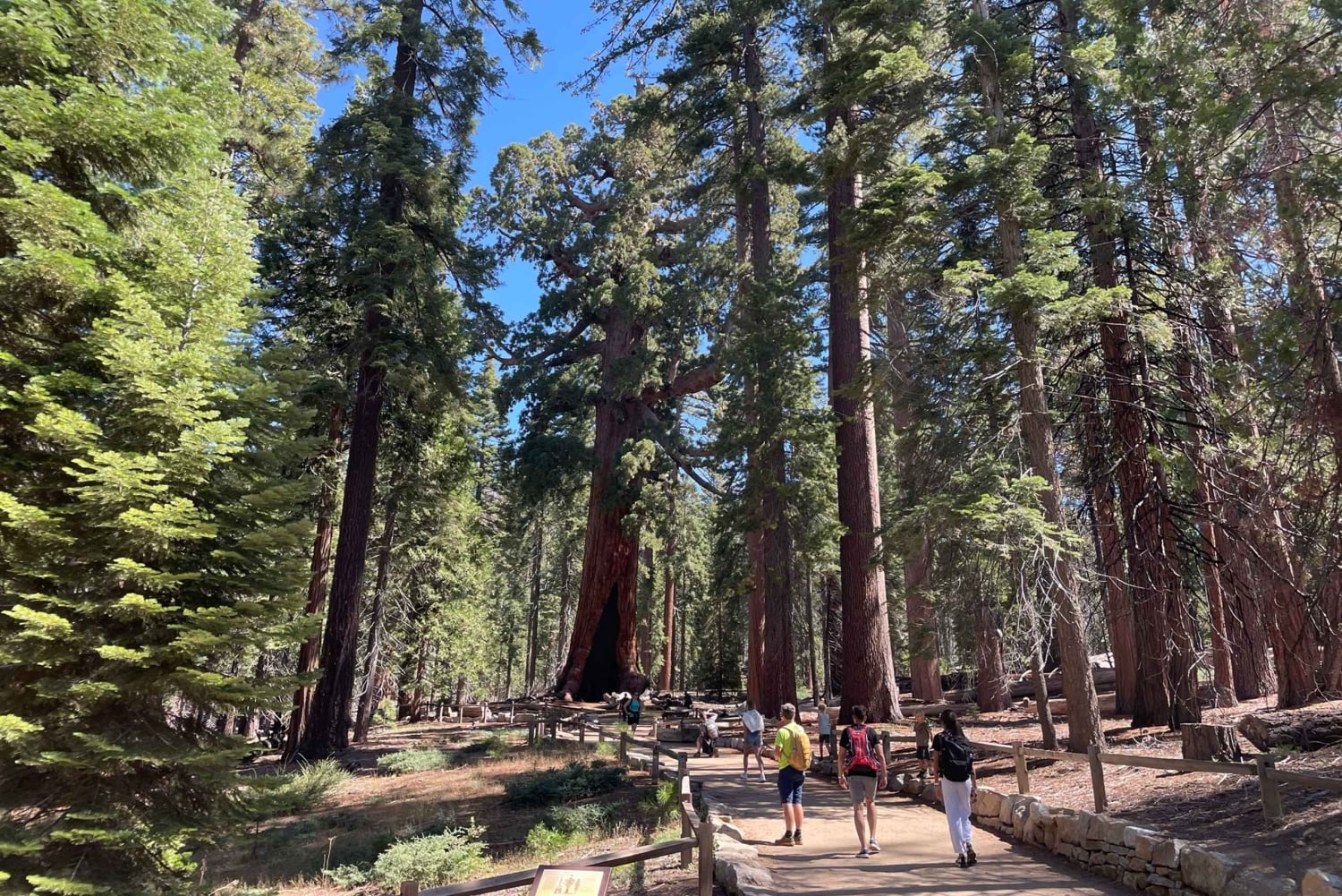 Йосемити, гигантские секвойи, индивидуальный тур из Сан-Франциско