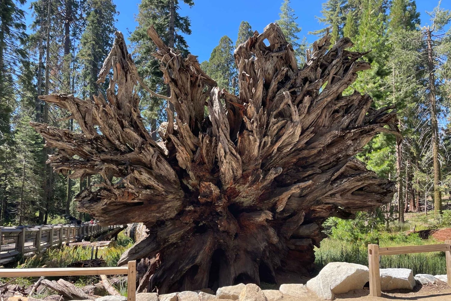 Йосемити, гигантские секвойи, индивидуальный тур из Сан-Франциско