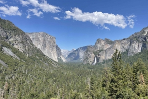 Yosemite, Sequoie Giganti, Tour Privato da San Francisco