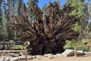 Yosemite, Sequoie Giganti, Tour Privato da San Francisco