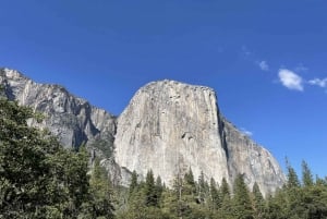 Yosemite, Giant Sequoias, privat rundtur från San Francisco