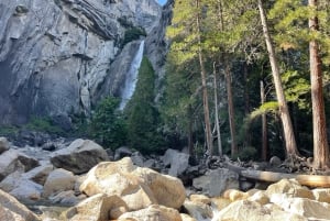 Yosemite, reuzensequoia's, privétour vanuit San Francisco