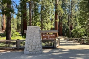 Йосемити, гигантские секвойи, индивидуальный тур из Сан-Франциско