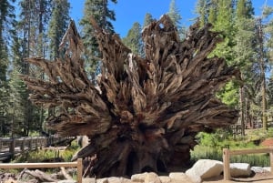 Йосемити, гигантские секвойи, индивидуальный тур из Сан-Франциско