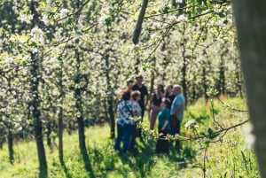 Baskisk valbåt och traditionellt baskiskt ciderhus