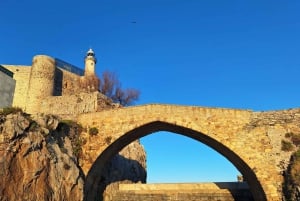 Bilbao and Castro Urdiales Full-day excursion from Santander