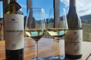 Bilbao: Gaztelugatxe, Bermeo, Mundaka, Gernika, & Wine Tour