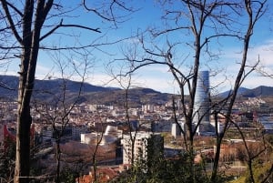 Bilbao Walking Tour and cable car in spanish