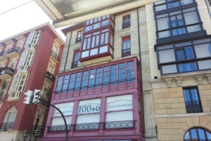 Bilbao Walking Tour and cable car in spanish