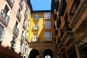 Bilbao Walking Tour and cable car in spanish