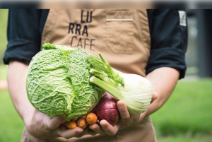 Billett til Chillida Leku-museet