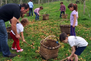 Doświadczenie w cydrowni z San Sebastián