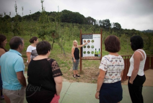 Doświadczenie w cydrowni z San Sebastián
