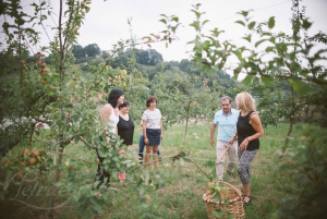 Doświadczenie w cydrowni z San Sebastián