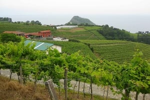 Discover the Essence of Txakoli Wine from San Sebastian