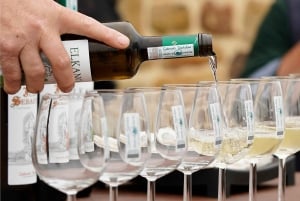 Discover the Essence of Txakoli Wine from San Sebastian