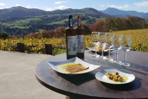 Discover the Essence of Txakoli Wine from San Sebastian