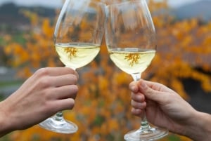 Discover the Essence of Txakoli Wine from San Sebastian