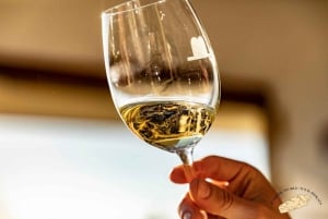 Discover the Essence of Txakoli Wine from San Sebastian