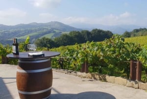 Discover the Essence of Txakoli Wine from San Sebastian