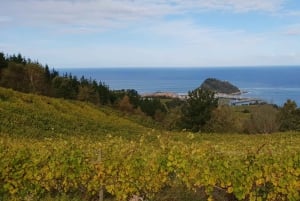 Discover the Essence of Txakoli Wine from San Sebastian