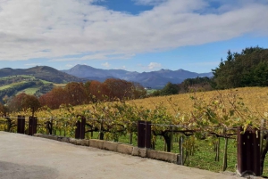 Discover the Essence of Txakoli Wine from San Sebastian