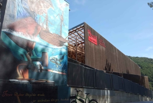 Øst-San Sebastián: Elsykkeltur