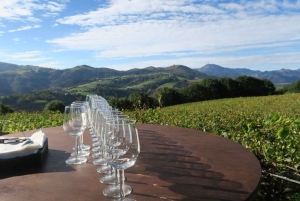 Z Bilbao: Private San Sebastian, Pintxo i Wine Tour