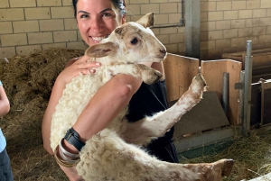 ビルバオから：サン セバスチャンとバスク チーズ ファーム ツアー