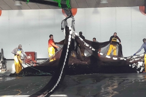 サンセバスティアン発：バスク・フランス海岸線プライベートツアー