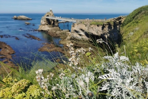 Z San Sebastián: Biarritz, St. Jean de Luz i Hondarribia