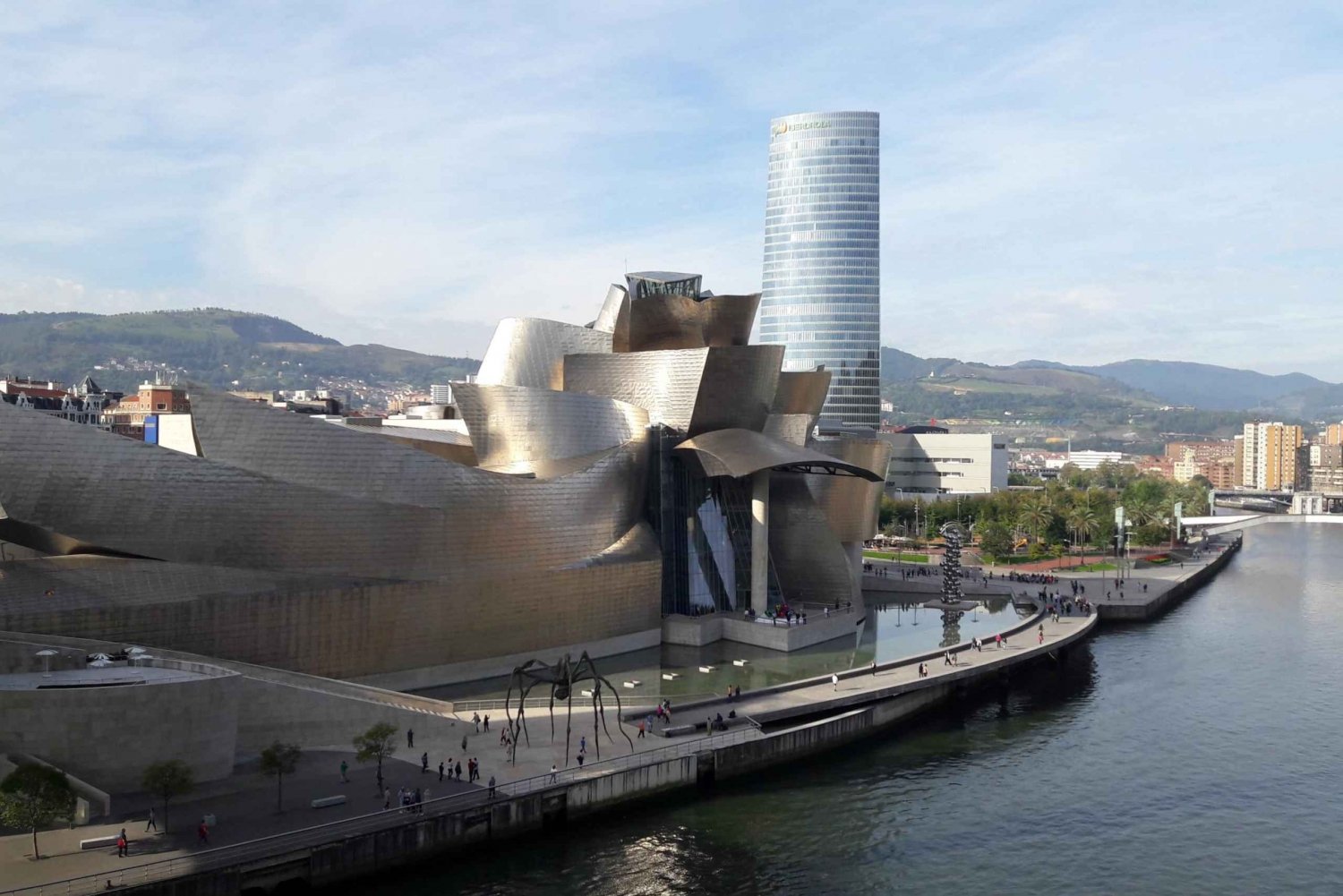 From San Sebastian: Bilbao & Guggenheim Museum Private Tour