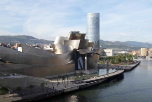 From San Sebastian: Bilbao & Guggenheim Museum Private Tour